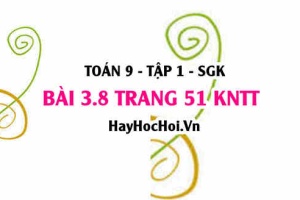 Bài 3.8 trang 51 Toán 9 tập 1 Kết nối tri thức